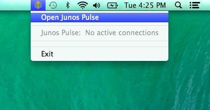 junos pulse windows 10